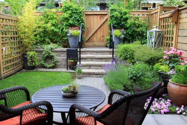Small Yard Landscaping Service
