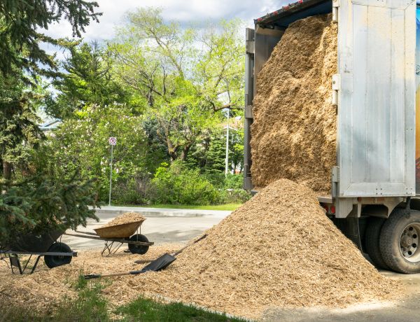 Wood Chips Delivery in Renton