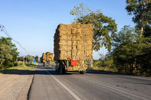 Pine Straw Delivery in Renton