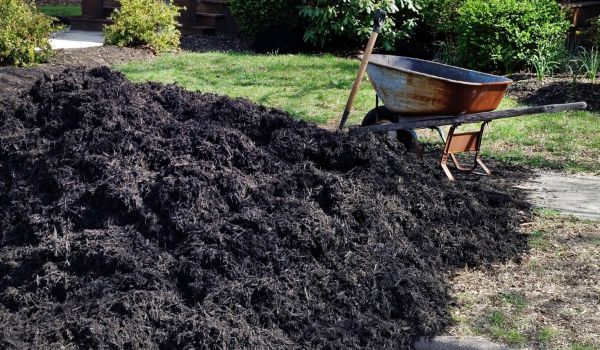 Black Mulch Delivery in Renton