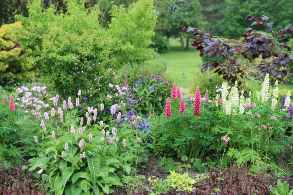 Flower Bed Planting in Renton