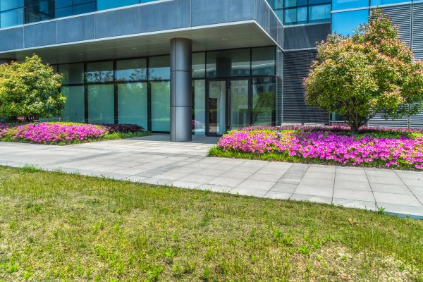 Commercial Gardening in Renton