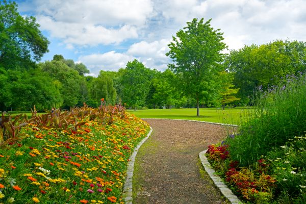 Park Landscaping in Renton