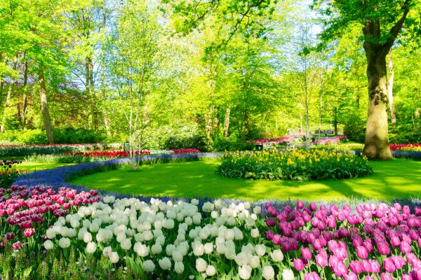 Flower Landscaping in Renton