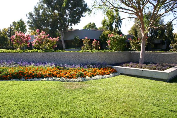Commercial Landscape Service in Renton