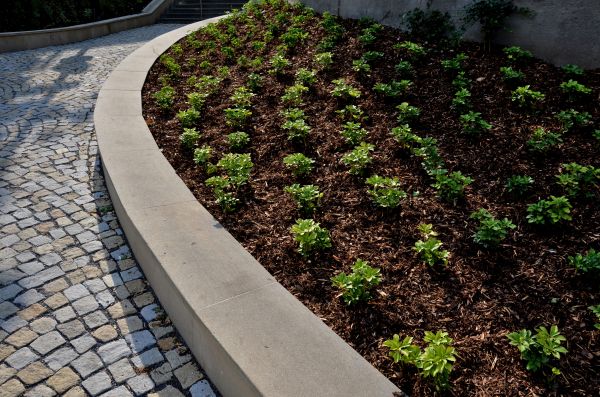Commercial Mulching in Renton