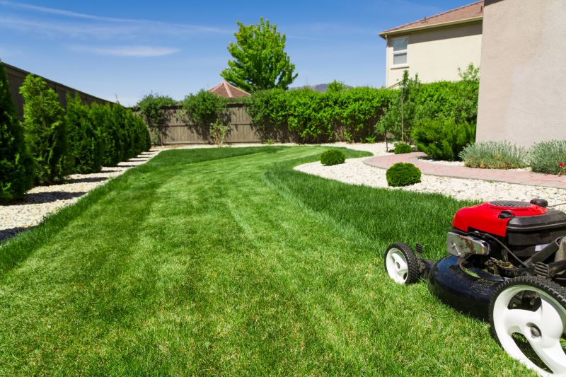 Lawn Repair Service detail