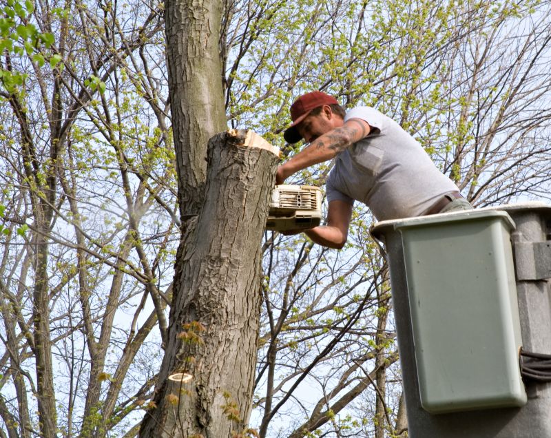 Tree Installation Service